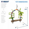 Prevue Pet Birds of Paradise Swing Bird Toy