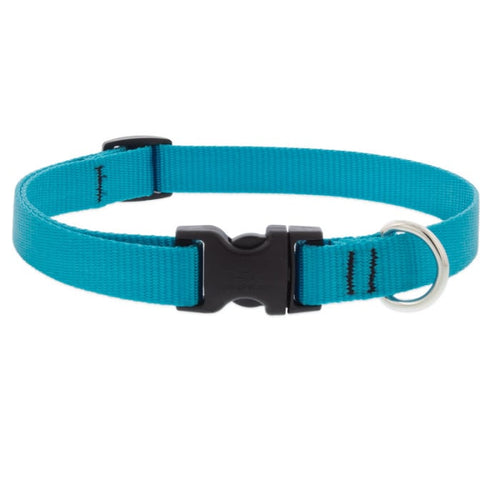 Lupine Pet Basic Solids Dog Collar