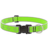 Lupine Pet Reflective Dog Collar