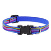 Lupine Pet Original Designs Dog Collar