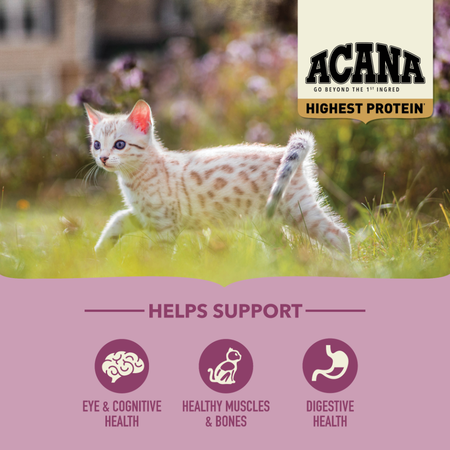 ACANA Highest Protein Dry Cat Food for Kittens