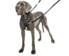 Company of Animals Halti No Pull Harness