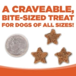 NutriSource SuperStars Soft & Tasty Cheddar Cheese Training Rewards Treats for Dogs (16 oz)