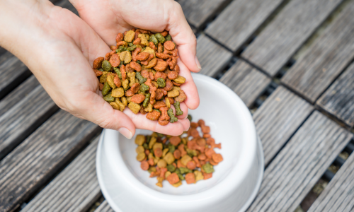 Dry dog food in an individuals hands hovering above a white dog bowl full of dry food.