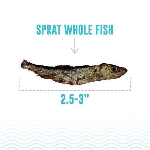 Icelandic+ Sprat Whole Fish Cat Treats