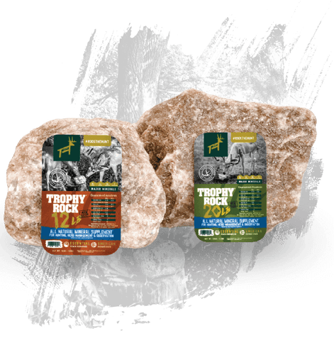 Redmond Hunt Trophy Rock