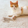 Wee Away X2 for Cats Original Formula