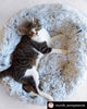 Mr. Peanut's 23 OrthoPlush® Pet Bed