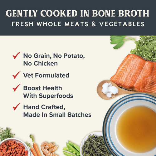 Health Extension Gently Cooked Grain Free Salmon Recipe