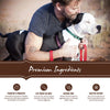 Holistic Select Natural Adult Health Anchovy, Sardine, and Salmon Meal Recipe Dry Dog Food