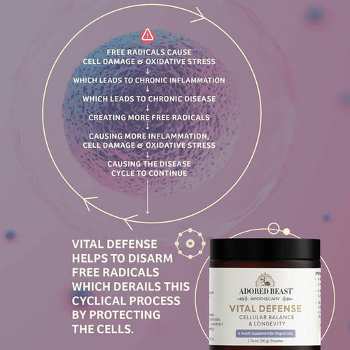 Adored Beast Vital Defense | Cellular Support