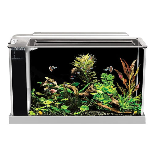 Fluval Spec Aquarium Kit