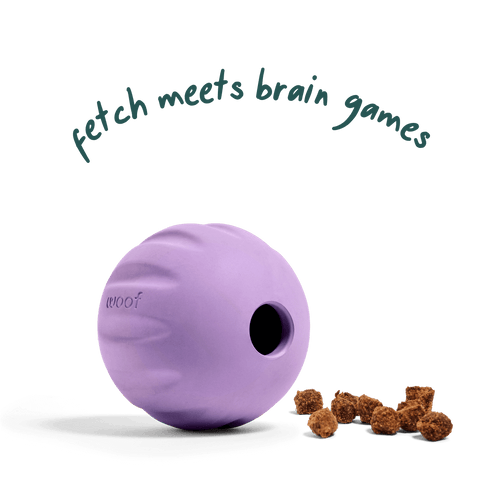 Woof Flyball Dog Toy