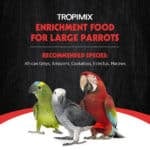 Hagen Tropimix  Premium Enrichment Food for Large Parrots