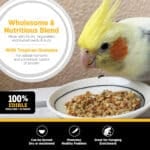 Hagen Tropimix  Premium Enrichment Food for Cockatiels & Lovebirds