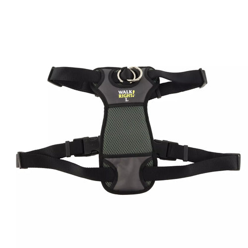 Coastal Pet Walk Right! Front-Connect No-Pull Padded Dog Harness