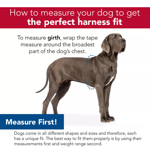 Coastal Pet Walk Right! Front-Connect No-Pull Padded Dog Harness