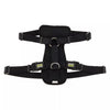 Coastal Pet Walk Right! Front-Connect No-Pull Padded Dog Harness