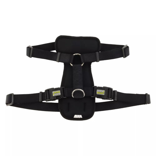 Coastal Pet Walk Right! Front-Connect No-Pull Padded Dog Harness