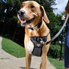 Coastal Pet Walk Right! Front-Connect No-Pull Padded Dog Harness