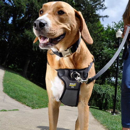 Coastal Pet Walk Right! Front-Connect No-Pull Padded Dog Harness