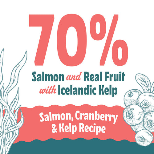 Icelandic+ Salmon, Cranberry & Kelp Recipe Soft & Chewy Bites for Dogs