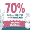 Icelandic+ Beef, Plum & Kelp Recipe Soft & Chewy Bites for Dogs