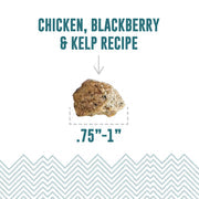 Icelandic+ Chicken, Blackberry & Kelp Recipe Soft & Chewy Bites for Dogs