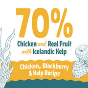Icelandic+ Chicken, Blackberry & Kelp Recipe Soft & Chewy Bites for Dogs