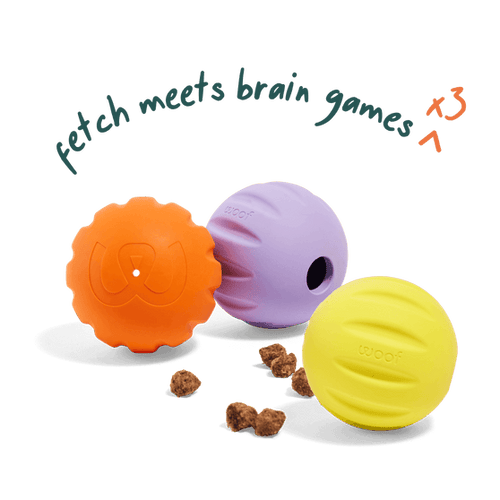 Woof Flyball 3 Pack Dog Toy
