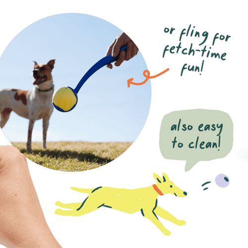 Woof Flyball 3 Pack Dog Toy