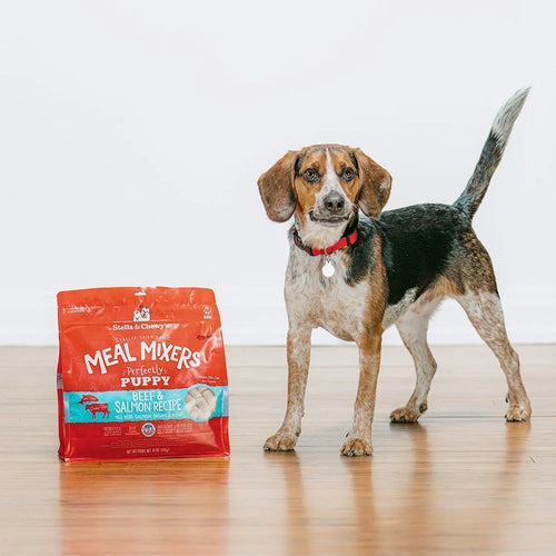 Stella & Chewy's Perfectly Puppy Beef & Salmon Meal Mixers (18 oz)