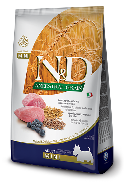 Farmina N&D Ancestral Grain Lamb & Blueberry Adult Dog Mini (5.5-lb)