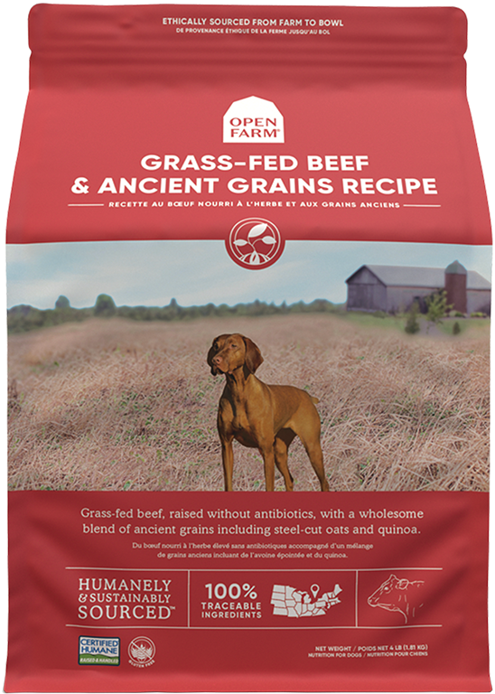 Open Farm Grass-Fed Beef & Ancient Grains Dry Dog Food (22-lbs)