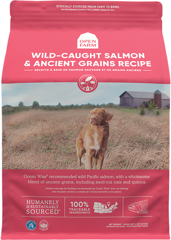 Open Farm Wild-Caught Salmon & Ancient Grains Dry Dog Food (22-lbs)