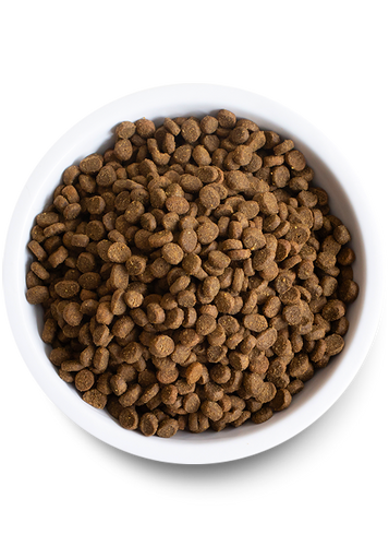 Open Wild-Caught Salmon Dry Cat Food (4-lbs)