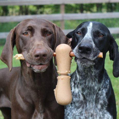 Tall Tails Treat Bone Chew Dog Toy